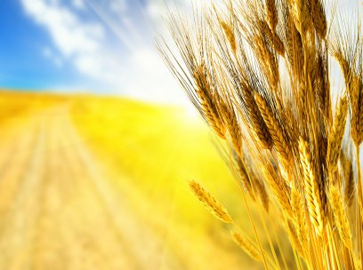 3 Eylül Pazartesi ile Başlayan Hafta (Sapla Samanı Ayırmak)